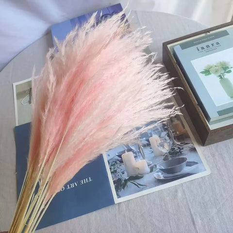 Best-Selling Bohemian Dried Pampas Reed Flowers Mother's Day Graduation Christmas Wedding Valentine's Day Home Decoration Fluffy
