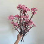 Preserved Rice Flower Dried Flower Aromatherapy Floating Flower Photography Props DIY Flower Wholesale Christmas Thanksgiving