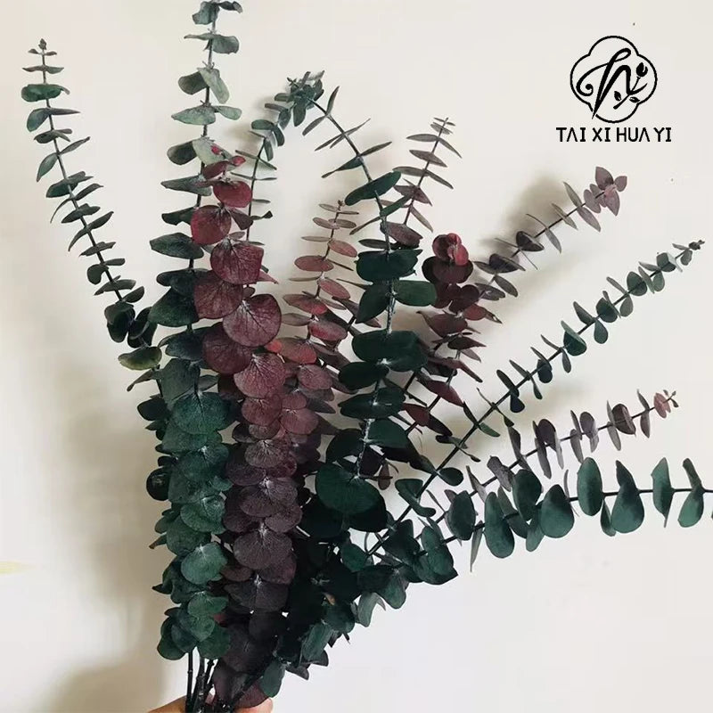 A-grade Preserved Eucalyptus Leaf Dried Flowers Immortal Bouquet Decorative Copper Coin Leaves for Graduation Valentine's Day