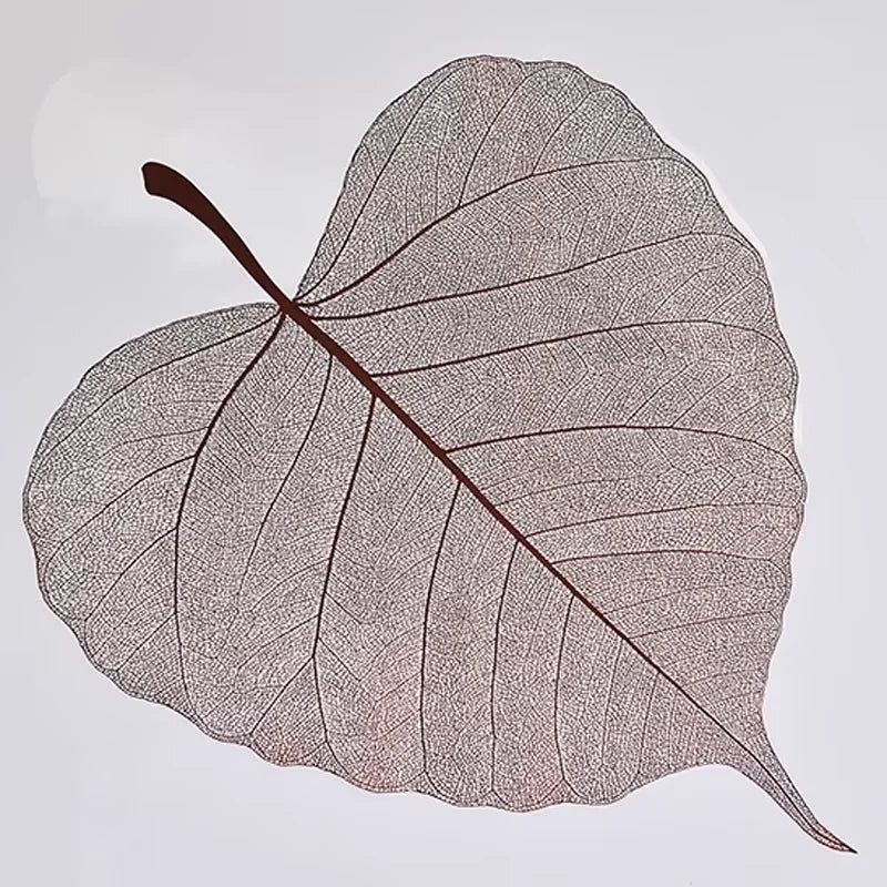 2025 New Flower Wrapping Stretch Film 72x33cm Leaf Shape Translucent Waterproof Florist Supplies