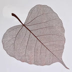 2025 New Flower Wrapping Stretch Film 72x33cm Leaf Shape Translucent Waterproof Florist Supplies