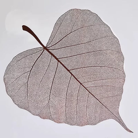 2025 New Flower Wrapping Stretch Film 72x33cm Leaf Shape Translucent Waterproof Florist Supplies