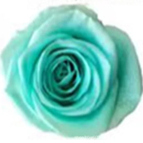 Forever Roses Preserved Flower Heads 6 Pieces DIY Gift Making Materials Wedding Centerpieces Flower Decorations Items