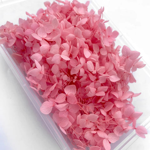Handmade Preserved Flower Fan for Wedding DIY Wreath Mini Dried Flower Bouquet Artificial Hydrangea Dry Flowers Wall Backdrop