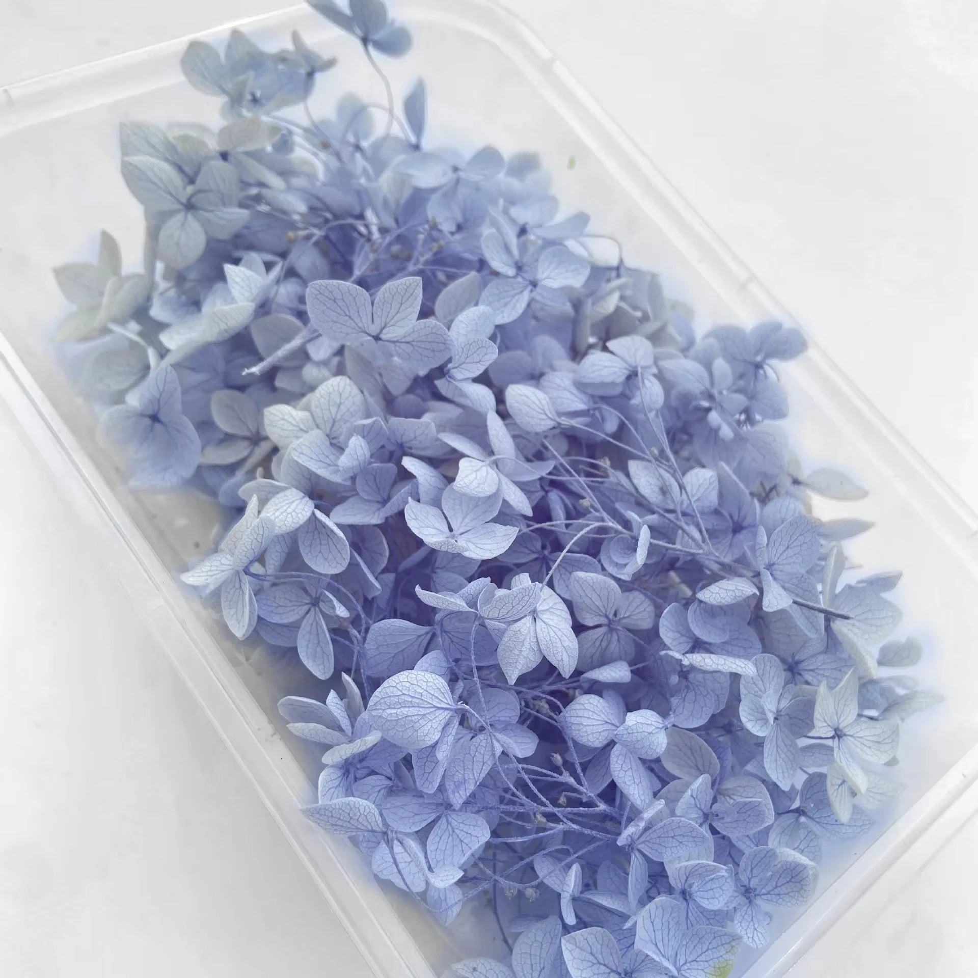 Handmade Preserved Flower Fan for Wedding DIY Wreath Mini Dried Flower Bouquet Artificial Hydrangea Dry Flowers Wall Backdrop