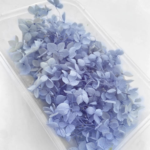 Handmade Preserved Flower Fan for Wedding DIY Wreath Mini Dried Flower Bouquet Artificial Hydrangea Dry Flowers Wall Backdrop