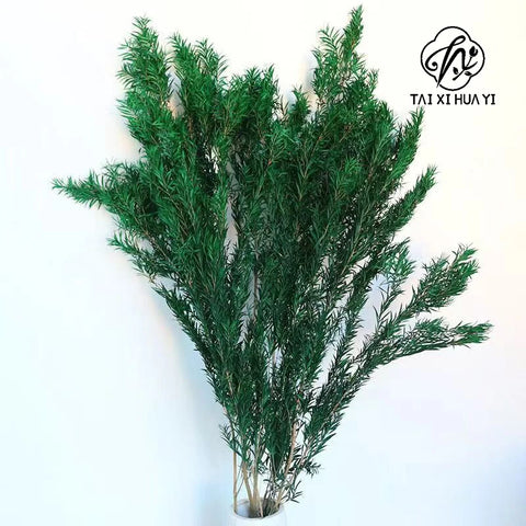Wholesale Preserved Artificial Dried Flowers Garland 60cm for Graduation Wedding Christmas Halloween Valentine's Day Decorations