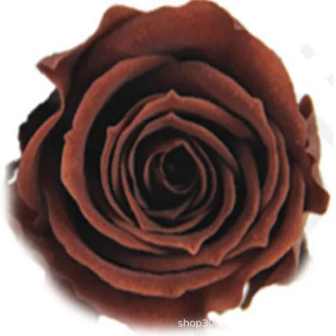 Forever Roses Preserved Flower Heads 6 Pieces DIY Gift Making Materials Wedding Centerpieces Flower Decorations Items
