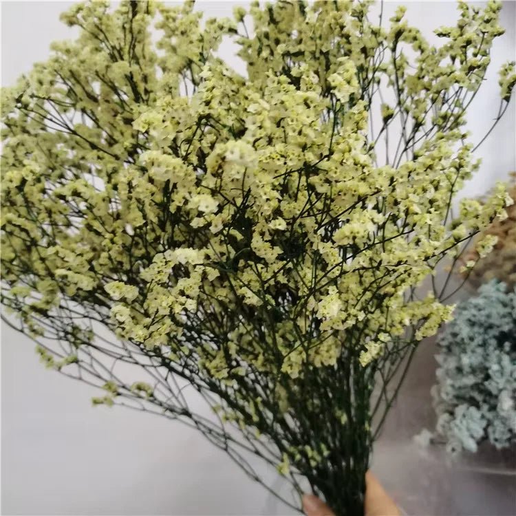 Preserved Crystal Grass Baby's Breath Dried Flowers for Home Arrangement & Wedding DIY Bouquet Baby Breath Flower Artificial