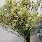 Preserved Crystal Grass Baby's Breath Dried Flowers for Home Arrangement & Wedding DIY Bouquet Baby Breath Flower Artificial