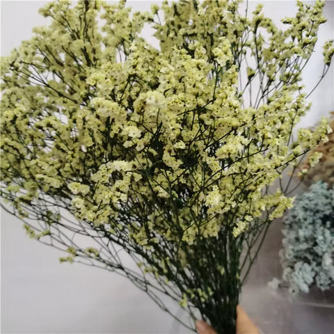 Preserved Crystal Grass Baby's Breath Dried Flowers for Home Arrangement & Wedding DIY Bouquet Baby Breath Flower Artificial