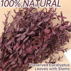 Fine-leaf Preserved Eucalyptus Leaf Dried Flower Bouquet Wreath DIY Material Wedding Decoration