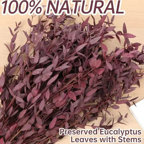 Fine-leaf Preserved Eucalyptus Leaf Dried Flower Bouquet Wreath DIY Material Wedding Decoration