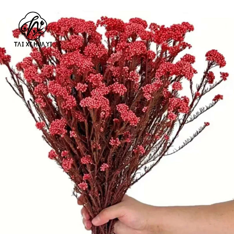 Preserved Rice Flower Dried Flower Aromatherapy Floating Flower Photography Props DIY Flower Wholesale Christmas Thanksgiving