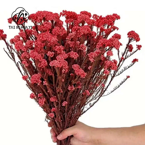 Preserved Rice Flower Dried Flower Aromatherapy Floating Flower Photography Props DIY Flower Wholesale Christmas Thanksgiving