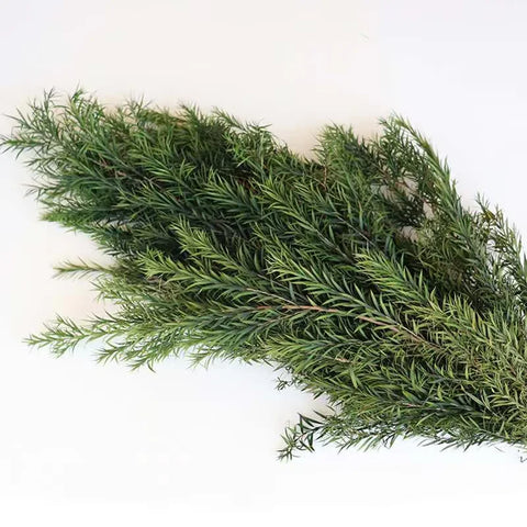 Wholesale Preserved Artificial Dried Flowers Garland 60cm for Graduation Wedding Christmas Halloween Valentine's Day Decorations