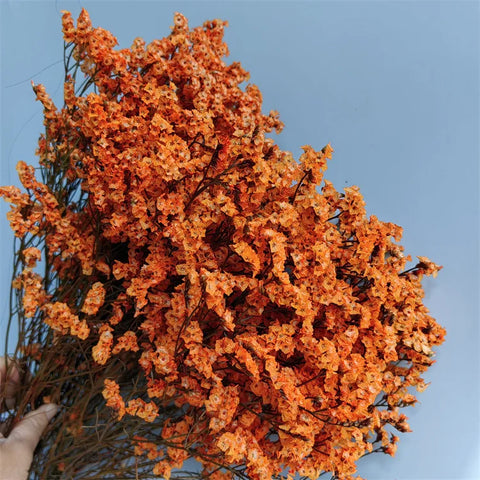 Preserved Crystal Grass Baby's Breath Dried Flowers for Home Arrangement & Wedding DIY Bouquet Baby Breath Flower Artificial