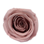 Forever Roses Preserved Flower Heads 6 Pieces DIY Gift Making Materials Wedding Centerpieces Flower Decorations Items