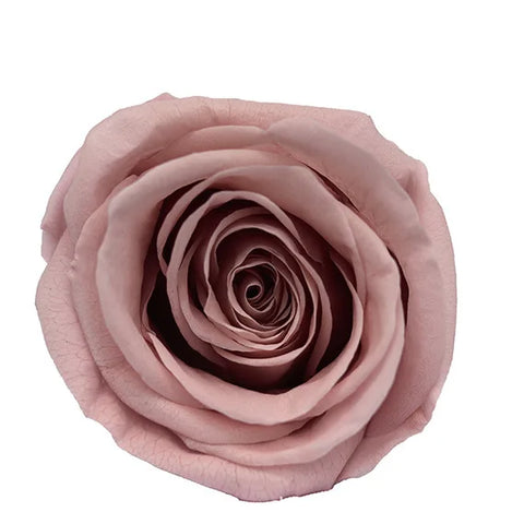 Forever Roses Preserved Flower Heads 6 Pieces DIY Gift Making Materials Wedding Centerpieces Flower Decorations Items