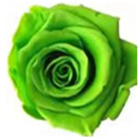 Forever Roses Preserved Flower Heads 6 Pieces DIY Gift Making Materials Wedding Centerpieces Flower Decorations Items