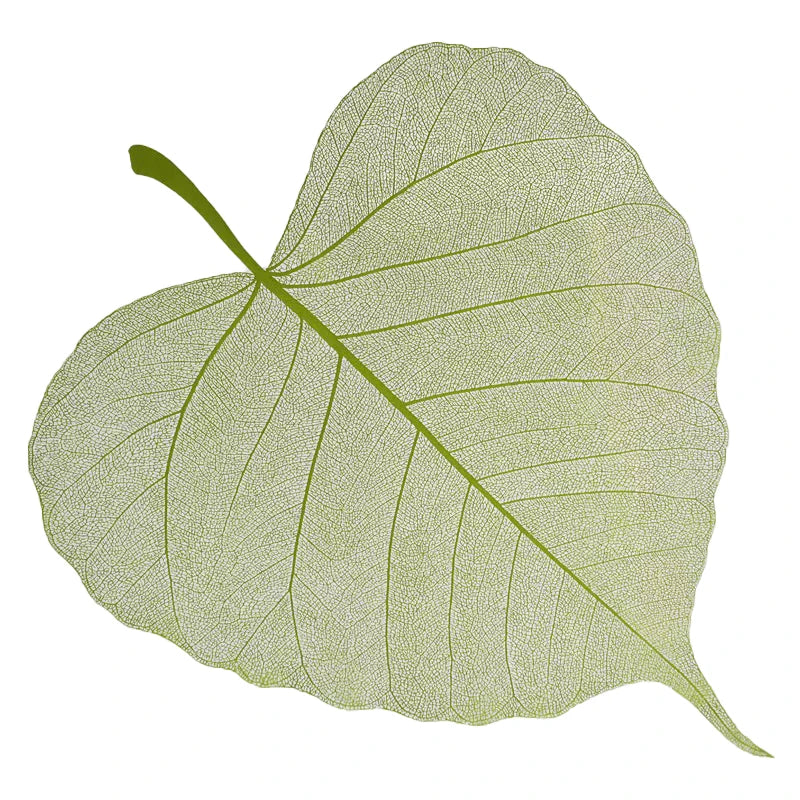 2025 New Flower Wrapping Stretch Film 72x33cm Leaf Shape Translucent Waterproof Florist Supplies
