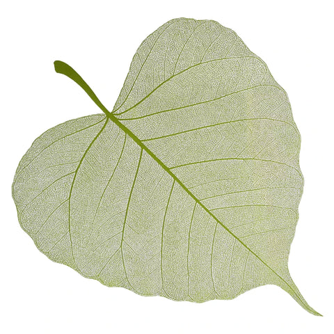 2025 New Flower Wrapping Stretch Film 72x33cm Leaf Shape Translucent Waterproof Florist Supplies