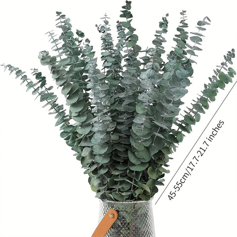 A-grade Preserved Eucalyptus Leaf Dried Flowers Immortal Bouquet Decorative Copper Coin Leaves for Graduation Valentine's Day