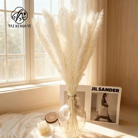 Reeds Dried Pampas Grass Artificial Flowers Bouquet Various Colors Home Boho Wedding Decoration Arrangement 3d White Flower Wall