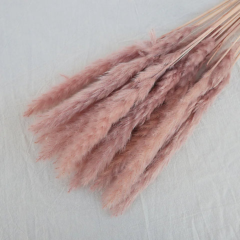 Reeds Dried Pampas Grass Artificial Flowers Bouquet Various Colors Home Boho Wedding Decoration Arrangement 3d White Flower Wall