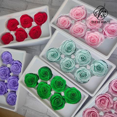 Forever Roses Preserved Flower Heads 6 Pieces DIY Gift Making Materials Wedding Centerpieces Flower Decorations Items