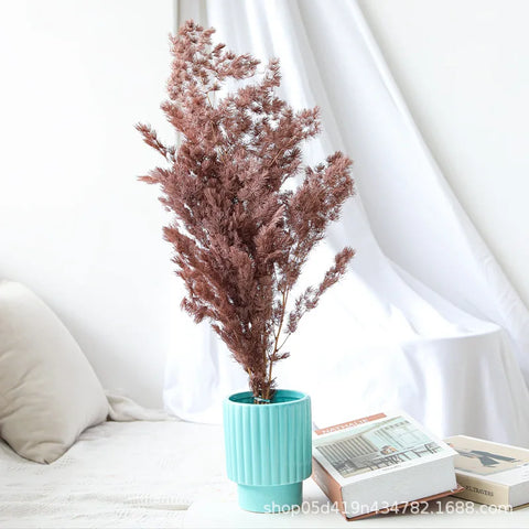 Wholesale DIY Preserved Pine Materials Cedar Preserved Flowers & Plants for Floral Ornaments Decoration Dried Flowers & Plants