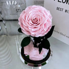 Big Flowers Artificial Large Leaf Hydrangea Preserved Dried Flowers Home Decor for Weddings Birthdays Christmas Valentine's Day