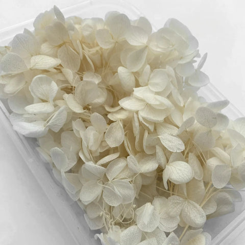 Handmade Preserved Flower Fan for Wedding DIY Wreath Mini Dried Flower Bouquet Artificial Hydrangea Dry Flowers Wall Backdrop