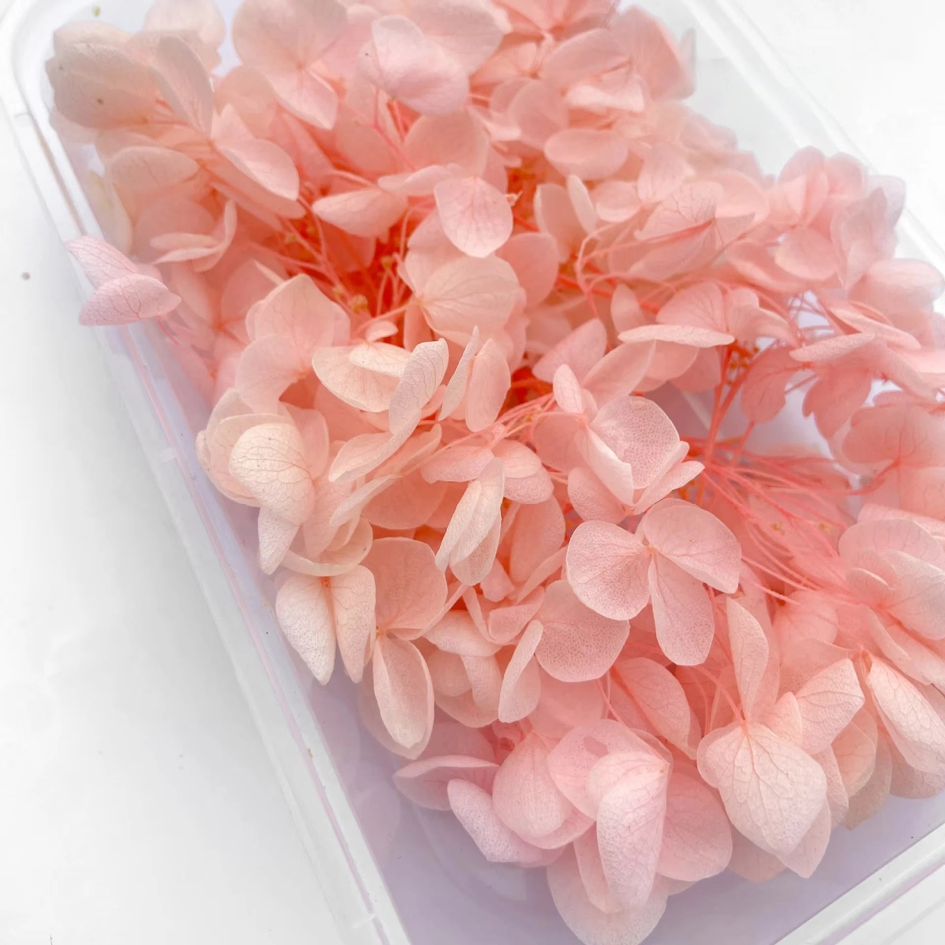 Handmade Preserved Flower Fan for Wedding DIY Wreath Mini Dried Flower Bouquet Artificial Hydrangea Dry Flowers Wall Backdrop