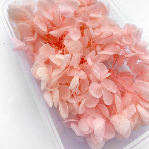 Handmade Preserved Flower Fan for Wedding DIY Wreath Mini Dried Flower Bouquet Artificial Hydrangea Dry Flowers Wall Backdrop