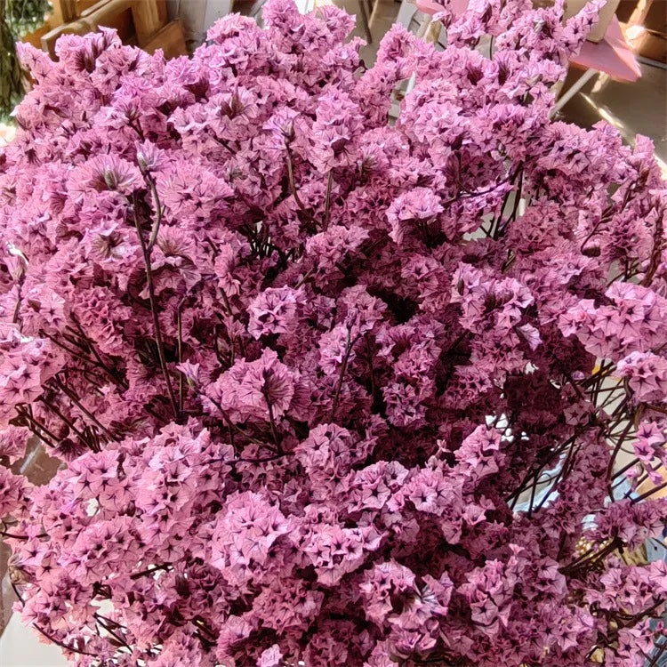 Preserved Crystal Grass Baby's Breath Dried Flowers for Home Arrangement & Wedding DIY Bouquet Baby Breath Flower Artificial