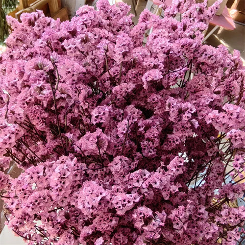 Preserved Crystal Grass Baby's Breath Dried Flowers for Home Arrangement & Wedding DIY Bouquet Baby Breath Flower Artificial