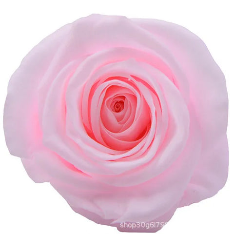 Forever Roses Preserved Flower Heads 6 Pieces DIY Gift Making Materials Wedding Centerpieces Flower Decorations Items
