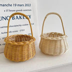 Wholesale Small Round Mini Lace Rattan Woven Basket Hand Design Waterproof Hanging Flower Baskets