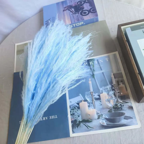 Best-Selling Bohemian Dried Pampas Reed Flowers Mother's Day Graduation Christmas Wedding Valentine's Day Home Decoration Fluffy
