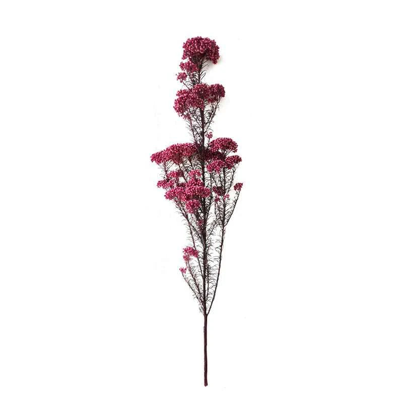Preserved Rice Flower Dried Flower Aromatherapy Floating Flower Photography Props DIY Flower Wholesale Christmas Thanksgiving