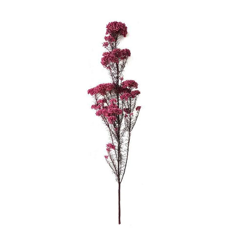 Preserved Rice Flower Dried Flower Aromatherapy Floating Flower Photography Props DIY Flower Wholesale Christmas Thanksgiving