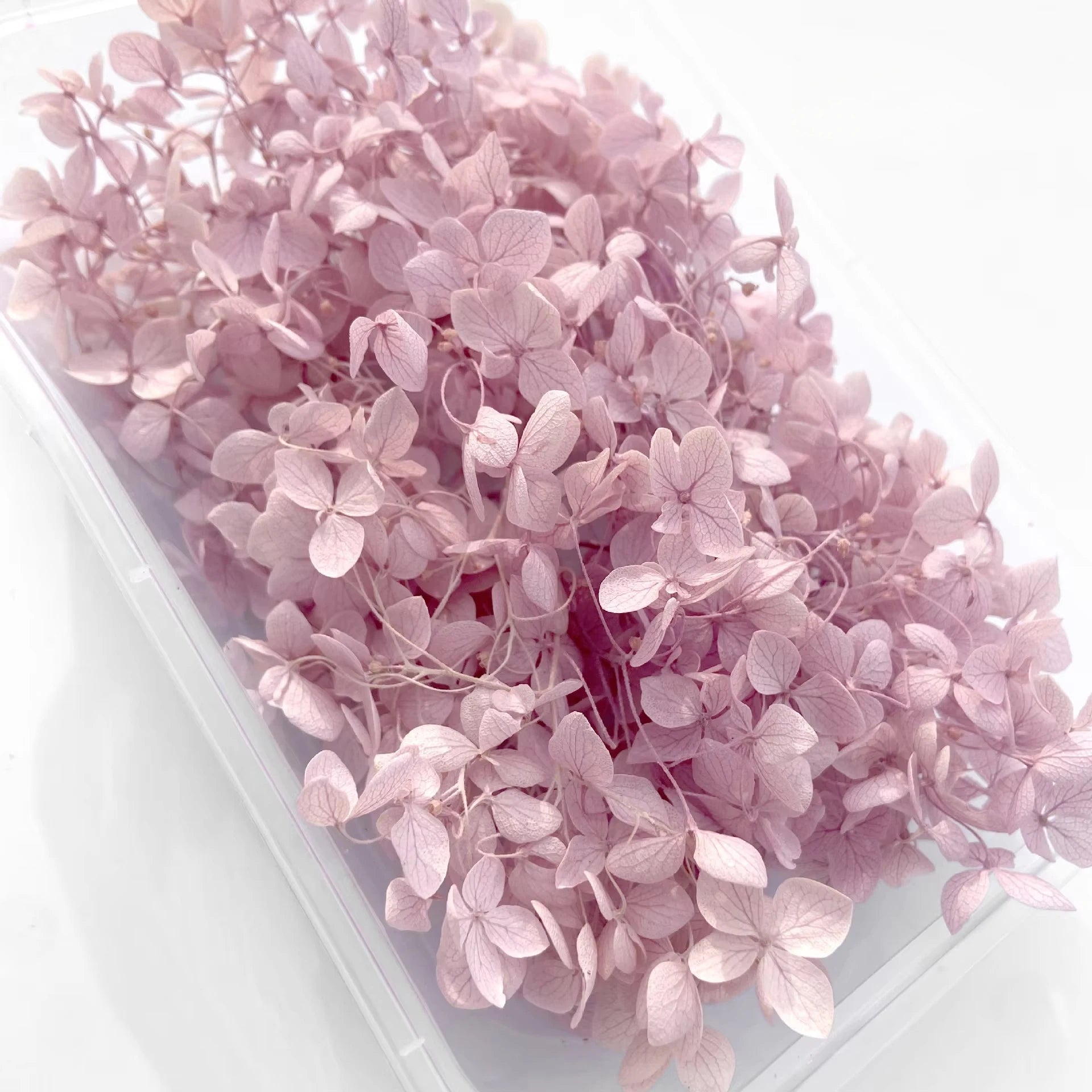 Handmade Preserved Flower Fan for Wedding DIY Wreath Mini Dried Flower Bouquet Artificial Hydrangea Dry Flowers Wall Backdrop
