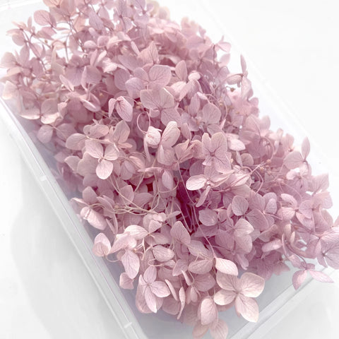 Handmade Preserved Flower Fan for Wedding DIY Wreath Mini Dried Flower Bouquet Artificial Hydrangea Dry Flowers Wall Backdrop
