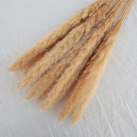 Reeds Dried Pampas Grass Artificial Flowers Bouquet Various Colors Home Boho Wedding Decoration Arrangement 3d White Flower Wall