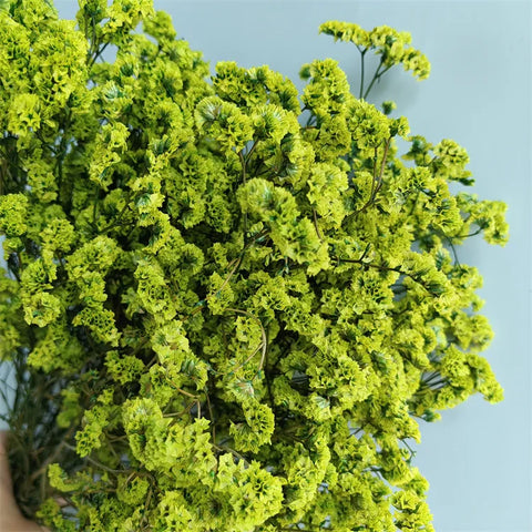 Preserved Crystal Grass Baby's Breath Dried Flowers for Home Arrangement & Wedding DIY Bouquet Baby Breath Flower Artificial