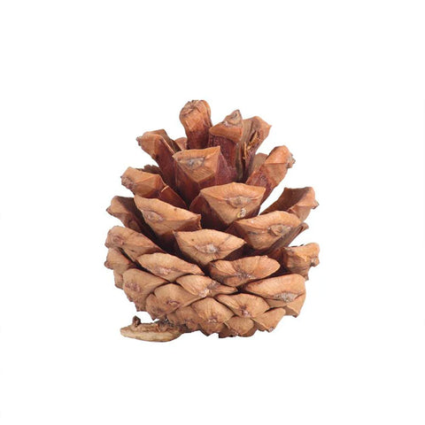 Pine Cone Dried Flower Christmas Decoration Handmade DIY Material Package Wreath Accessories Natural