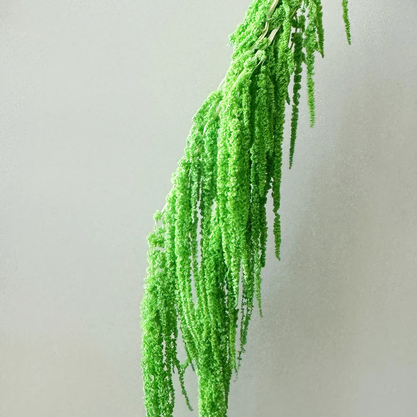Preserved DIY Tassel Dried Decoration Flower Wall Backdrop White Artificial Flower Table Runners for Wedding Decor