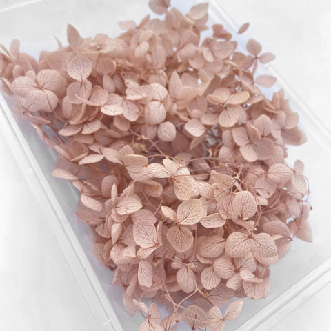 Handmade Preserved Flower Fan for Wedding DIY Wreath Mini Dried Flower Bouquet Artificial Hydrangea Dry Flowers Wall Backdrop