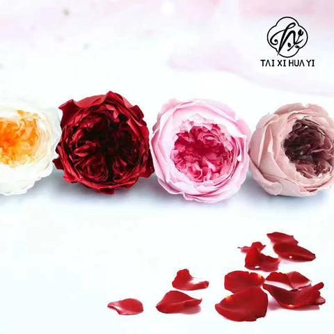 Grade Austin Rose Flower Head 4-5cm Preserved Real Flower 8-Pack Photography Props Wedding Mother's Day Christmas Gift Box
